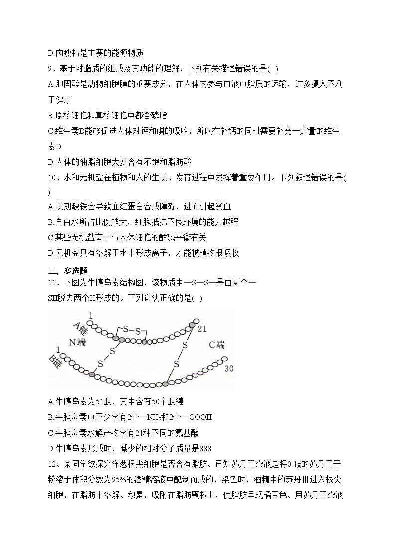 （1）细胞的分子组成——2023-2024学年高一生物学浙科版（2019）寒假温故知新(含答案)03