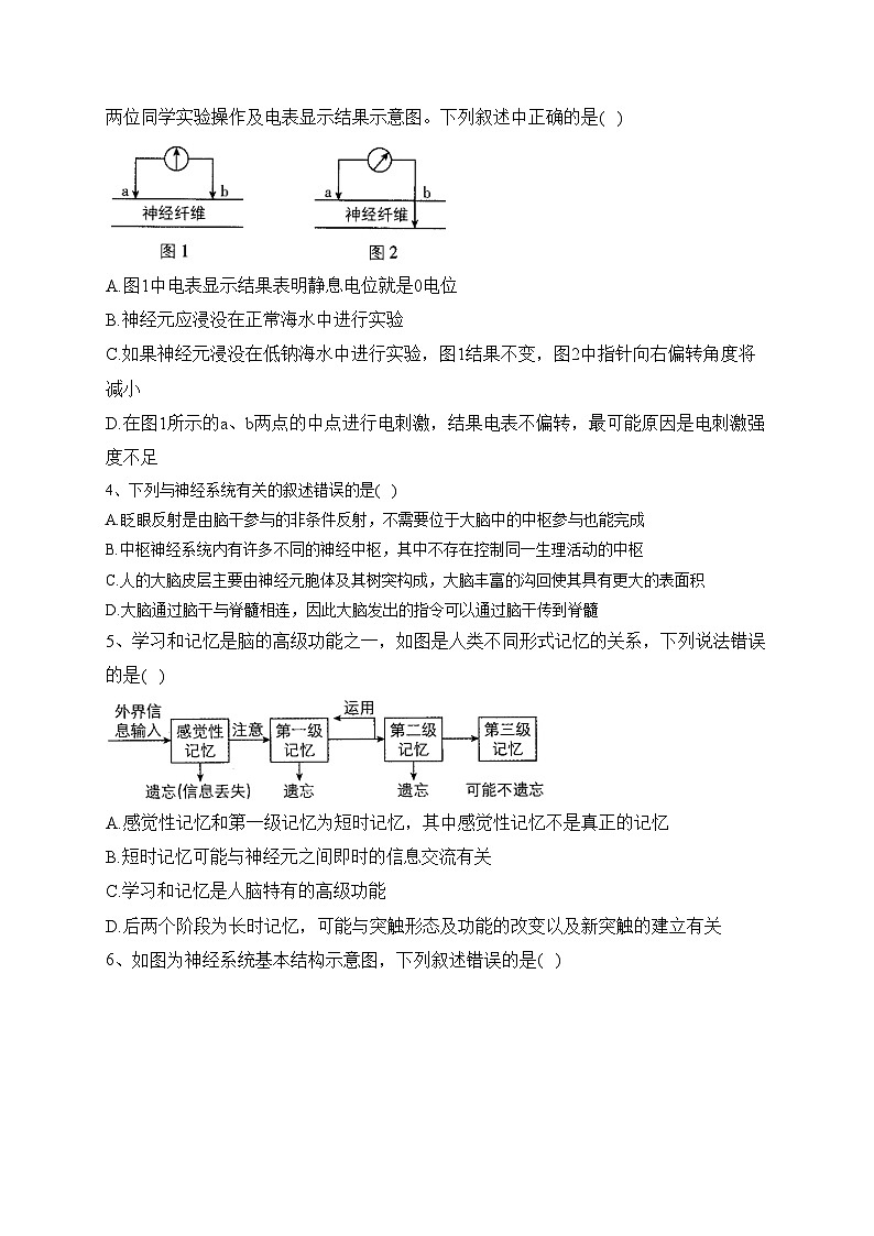 （2）神经调节——2023-2024学年高二生物学浙科版（2019）寒假温故知新(含答案)02