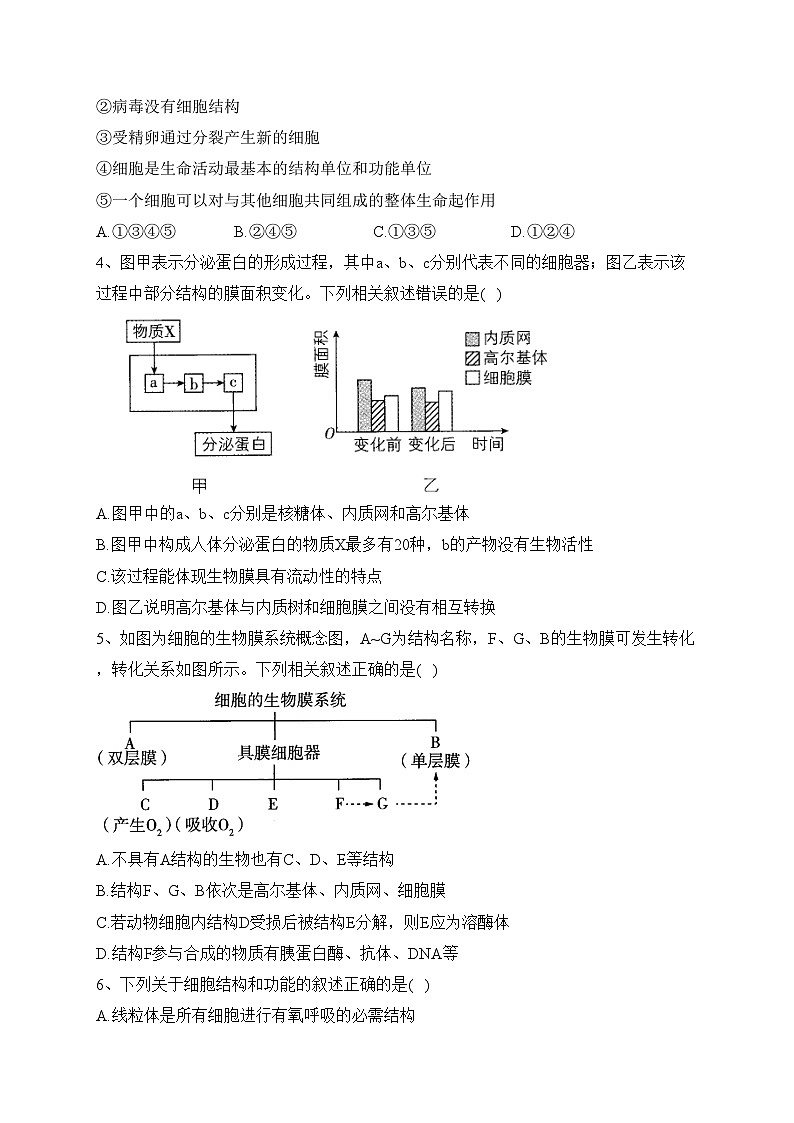 （2）细胞的结构——2023-2024学年高一生物学浙科版（2019）寒假温故知新(含答案)02