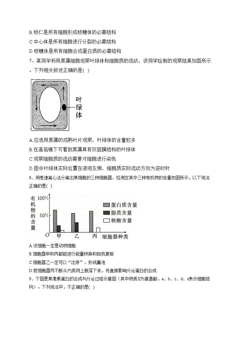 （2）细胞的结构——2023-2024学年高一生物学浙科版（2019）寒假温故知新(含答案)03