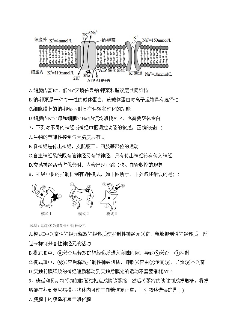 湖北省部分省级示范高中2023-2024学年高二上学期期中联考生物试卷(含答案)03