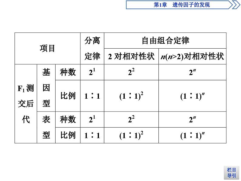 高中生物必修二《第2节 孟德尔的豌豆杂交实验（二）》ppt课件5-统编人教版第6页