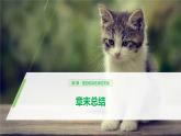 高中生物必修二第2章《基因和染色体的关系》章末复习教学课件-统编人教版