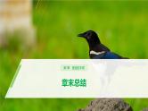 高中生物必修二第3章《基因的本质》复习ppt课件1-统编人教版