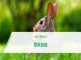 高中生物必修二第4章《基因的表达》复习教学课件-统编人教版