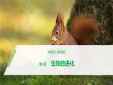 高中生物必修二第6章《生物的进化》复习ppt课件2-统编人教版