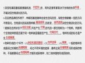 高中生物必修二第6章《生物的进化》复习ppt课件2-统编人教版