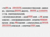 高中生物必修二第6章《生物的进化》复习ppt课件2-统编人教版