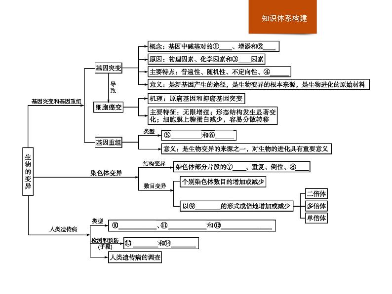 生物高中必修二第5章《本章综合与测试》ppt课件4-统编人教版02