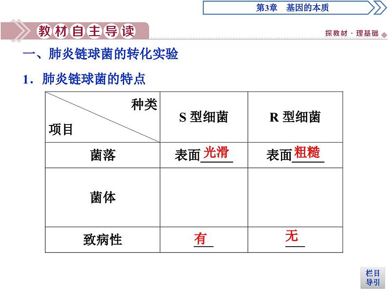 生物高中必修二《第1节 DNA是主要的遗传物质》ppt课件4-统编人教版04