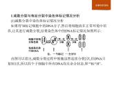生物高中必修二第3章《本章綜合與測試》ppt課件4-統(tǒng)編人教版