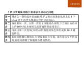 生物高中必修二第3章《本章綜合與測試》ppt課件4-統(tǒng)編人教版