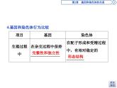 生物高中必修二《第2节 基因在染色体上》ppt课件4-统编人教版