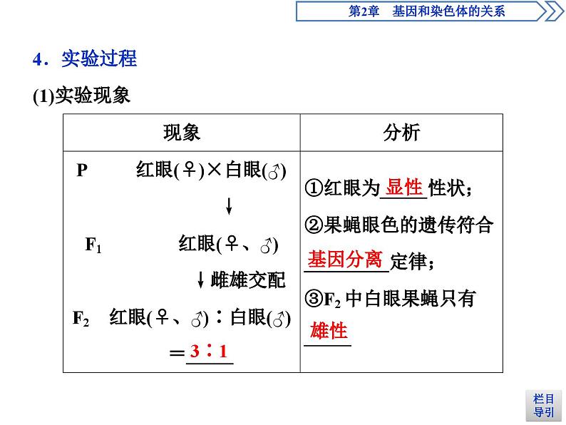 生物高中必修二《第2节 基因在染色体上》ppt课件4-统编人教版08