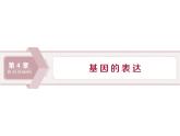 生物高中必修二《第1节 基因指导蛋白质的合成》ppt课件4-统编人教版