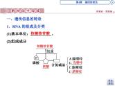 生物高中必修二《第1节 基因指导蛋白质的合成》ppt课件4-统编人教版