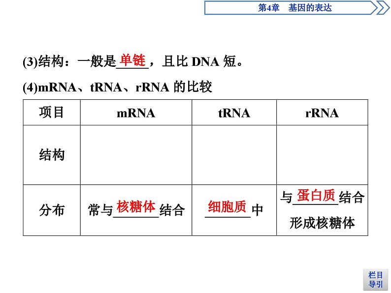 生物高中必修二《第1节 基因指导蛋白质的合成》ppt课件4-统编人教版第5页