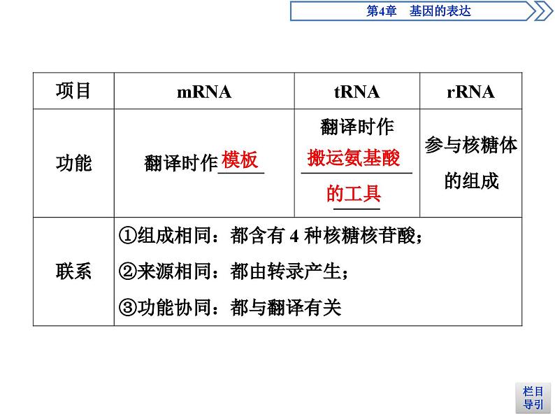 生物高中必修二《第1节 基因指导蛋白质的合成》ppt课件4-统编人教版第6页