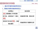 生物高中必修二《第1节 盂德尔的豌豆杂交实验（一）》ppt课件4-统编人教版