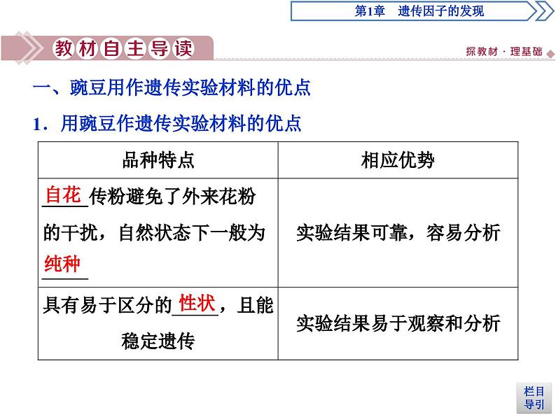 生物高中必修二《第1节 盂德尔的豌豆杂交实验（一）》ppt课件4-统编人教版第4页