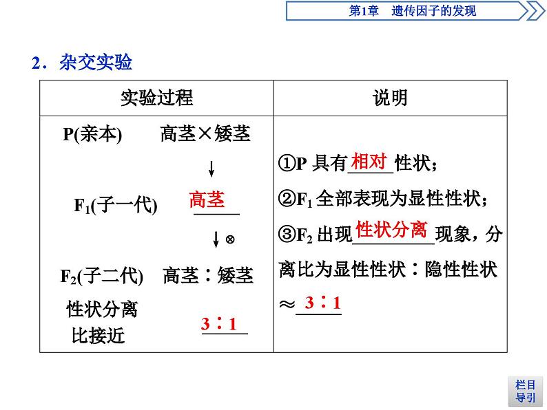 生物高中必修二《第1节 盂德尔的豌豆杂交实验（一）》ppt课件4-统编人教版第7页