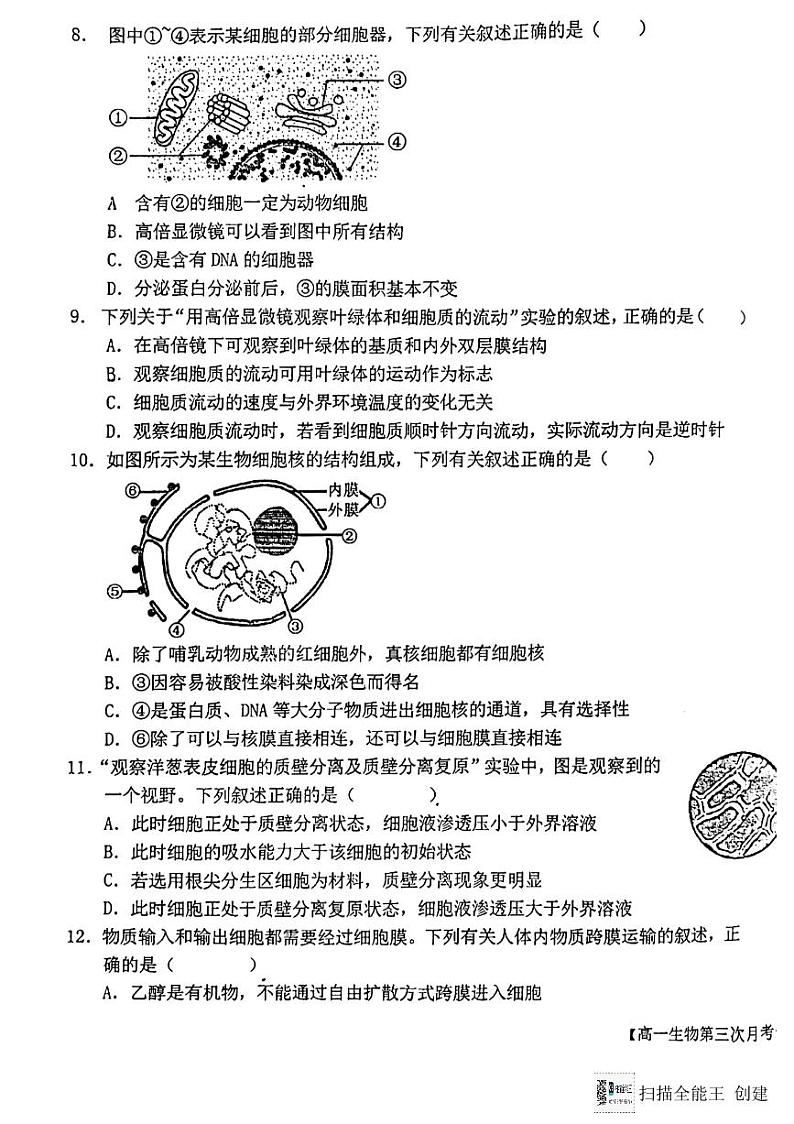 陕西省韩城市象山中学2023-2024学年高一上学期第三次月考生物试题（图片版）03