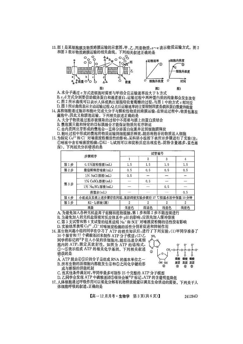 2024大同高一上学期12月月考试题生物PDF版含答案第3页