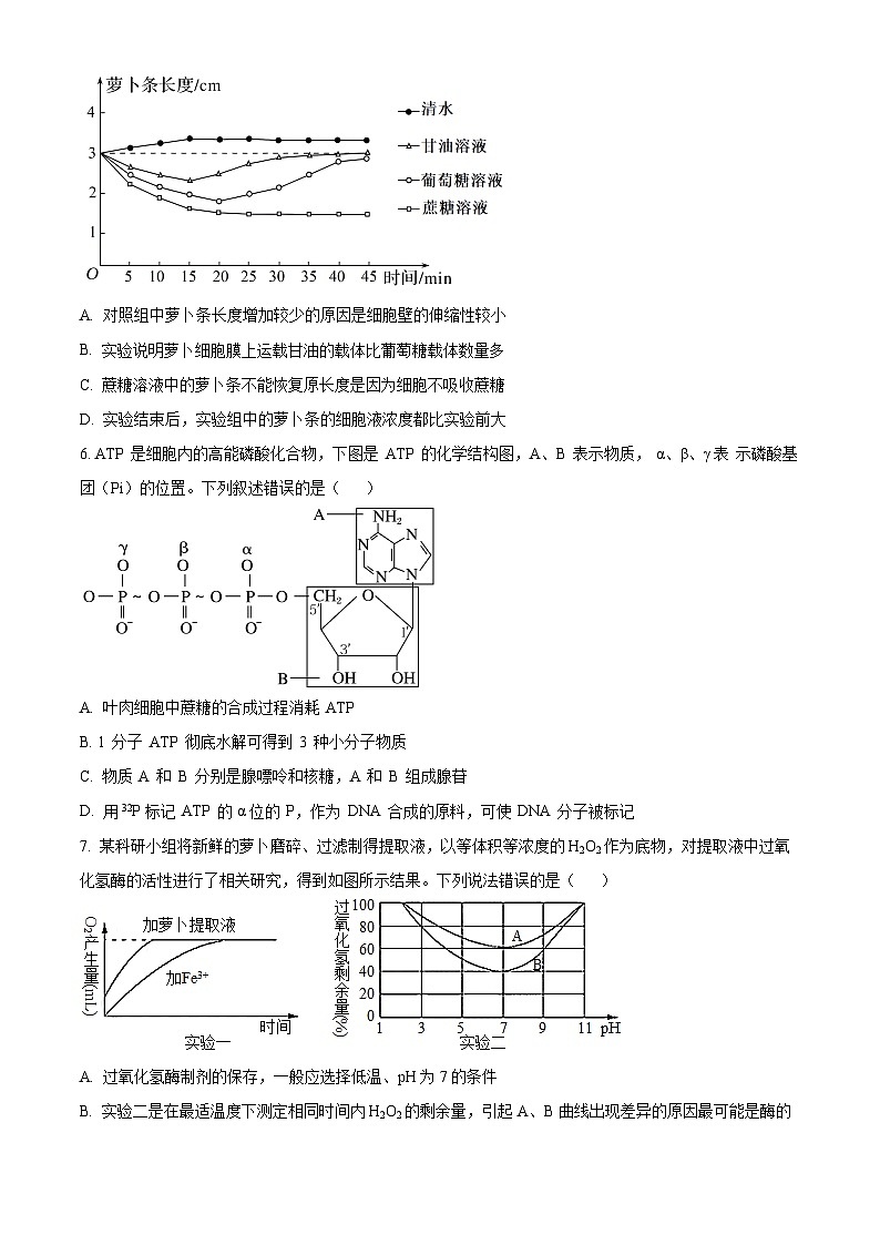 2024天津市第四十七中学高一上学期12月月考试题生物含解析02