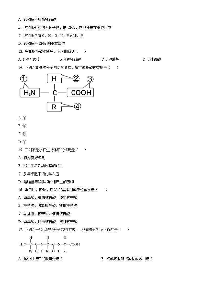 天津市朱唐庄中学2023-2024学年高一上学期期中生物试题无答案第3页