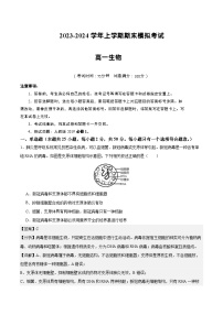 2023-2024学年高中上学期期末模拟考试高一生物期末模拟卷01（人教版2019必修1）（Word版附解析）