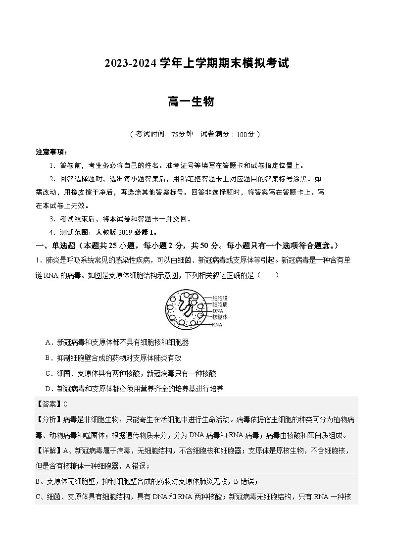 2023-2024学年高中上学期期末模拟考试高一生物期末模拟卷01（人教版2019必修1）（Word版附解析）01