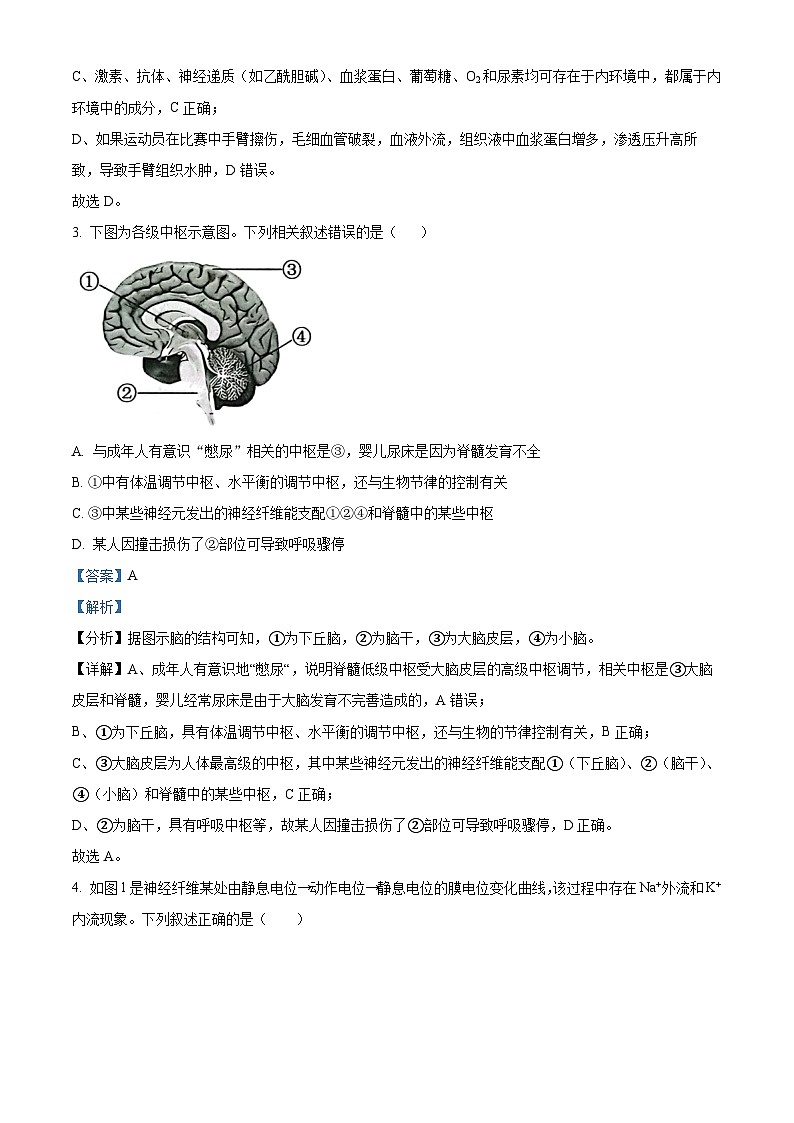 安徽省合肥市庐江县2023-2024学年高二上学期第二次月考生物试题（Word版附解析）02