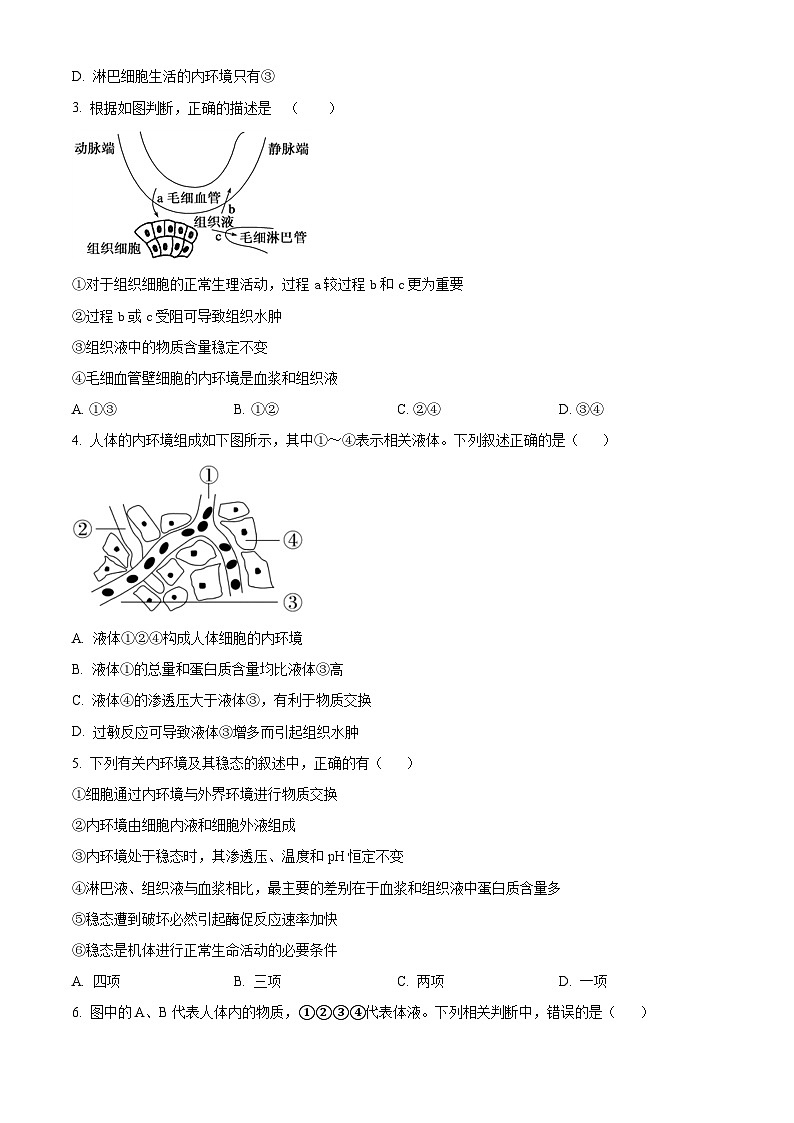 吉林省长春市外国语学校2023-2024学年高二上学期第二次月考生物试题（Word版附答案）02