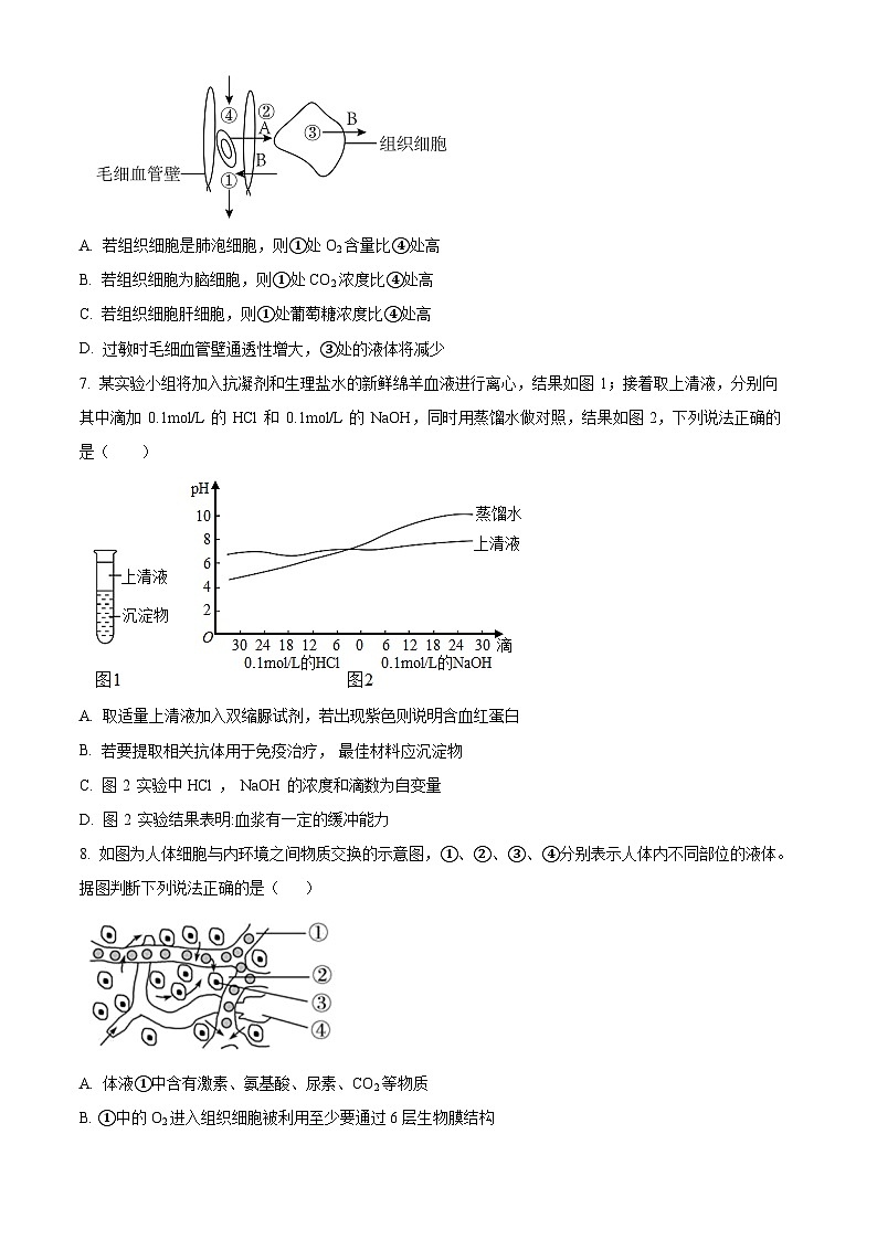 吉林省长春市外国语学校2023-2024学年高二上学期第二次月考生物试题（Word版附答案）03