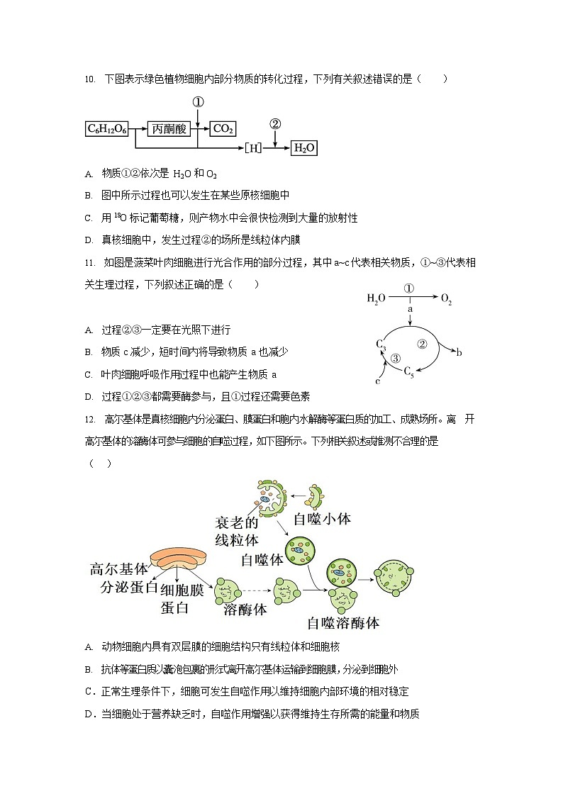 江苏省五市十一校2023-2024学年高一上学期12月阶段联测生物试题（Word版附答案）03