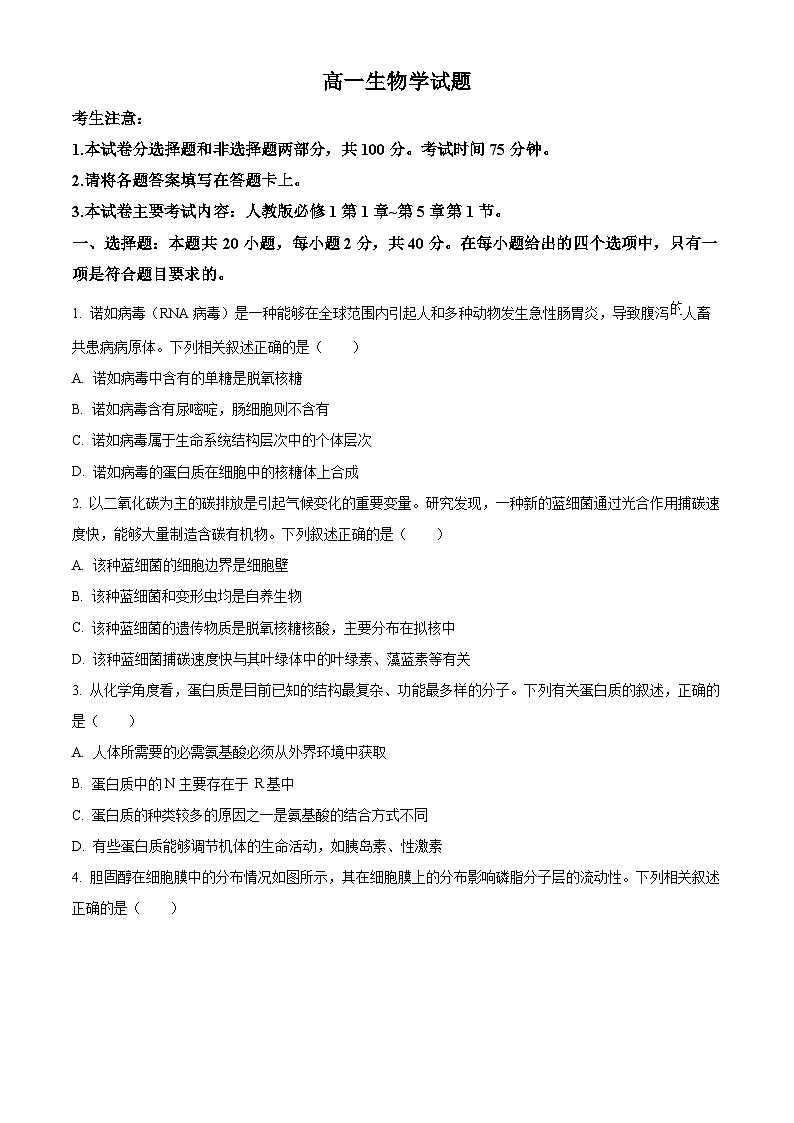四川省百分智名校2023-2024学年高一上学期期中联合学业质量检测生物试题（Word版附解析）第1页