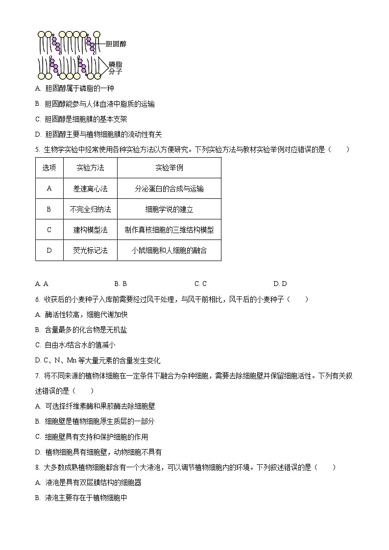 四川省百分智名校2023-2024学年高一上学期期中联合学业质量检测生物试题（Word版附解析）第2页