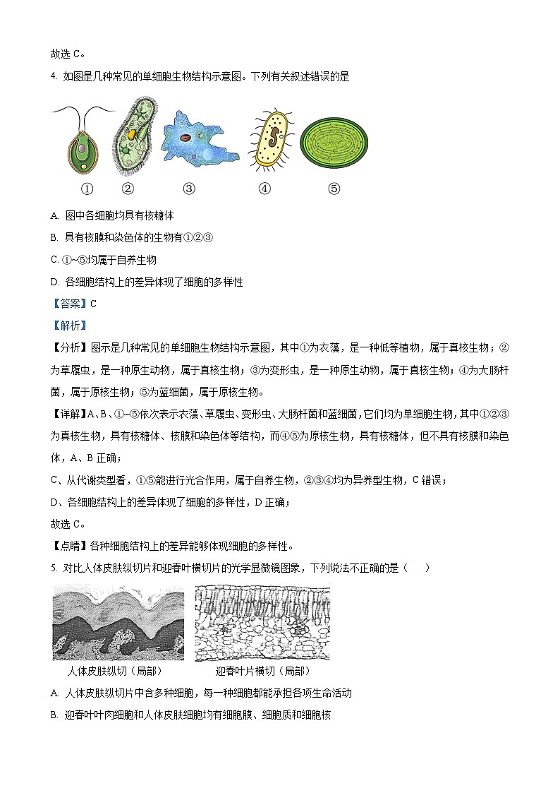 四川省达州市万源中学2023-2024学年高一上学期12月月考生物试题（Word版附解析）03