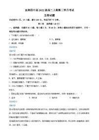 四川省宜宾市第四中学2023-2024学年高二上学期12月月考生物试题（Word版附解析）