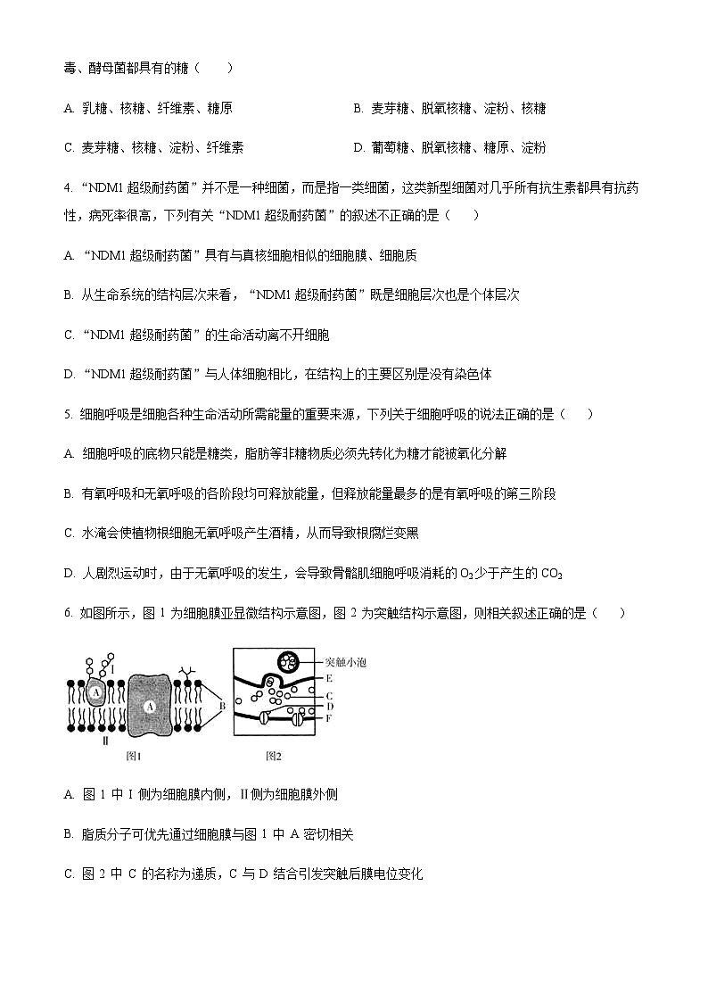 2022-2023学年宁夏石嘴山市平罗中学高三上学期期中生物试题含解析02