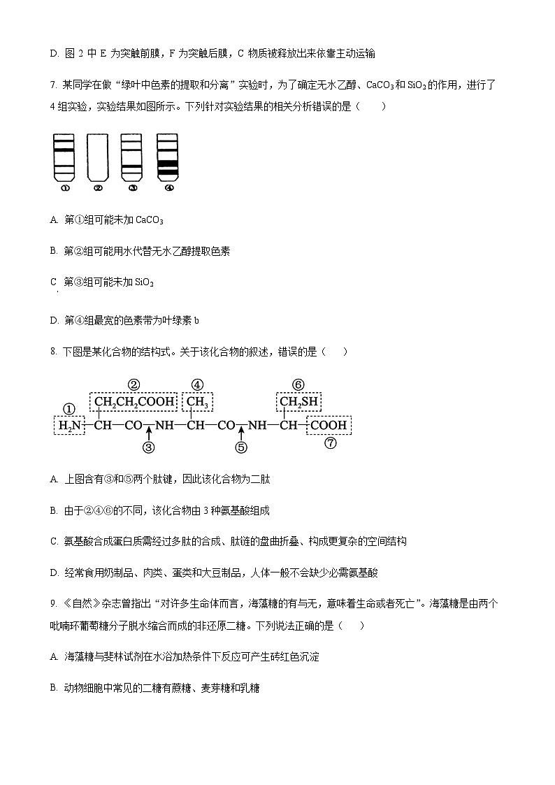 2022-2023学年宁夏石嘴山市平罗中学高三上学期期中生物试题含解析03