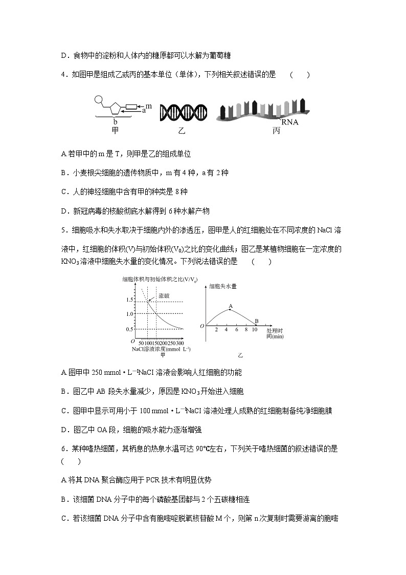 2023-2024学年湖北省宜城市第一中学等六校高三上学期期中联考生物试题含答案02