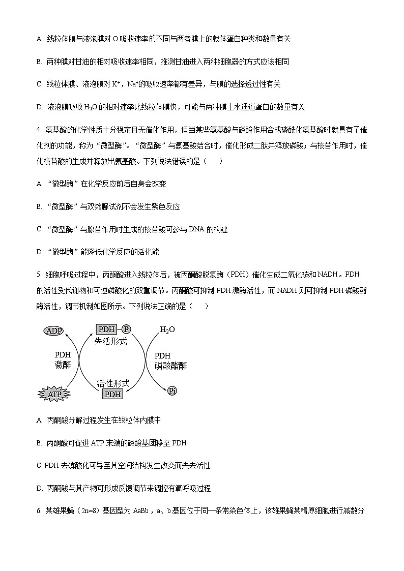 湖南省岳阳县第一中学、汨罗市第一中学2023-2024学年高三上学期11月期中联考 生物第2页