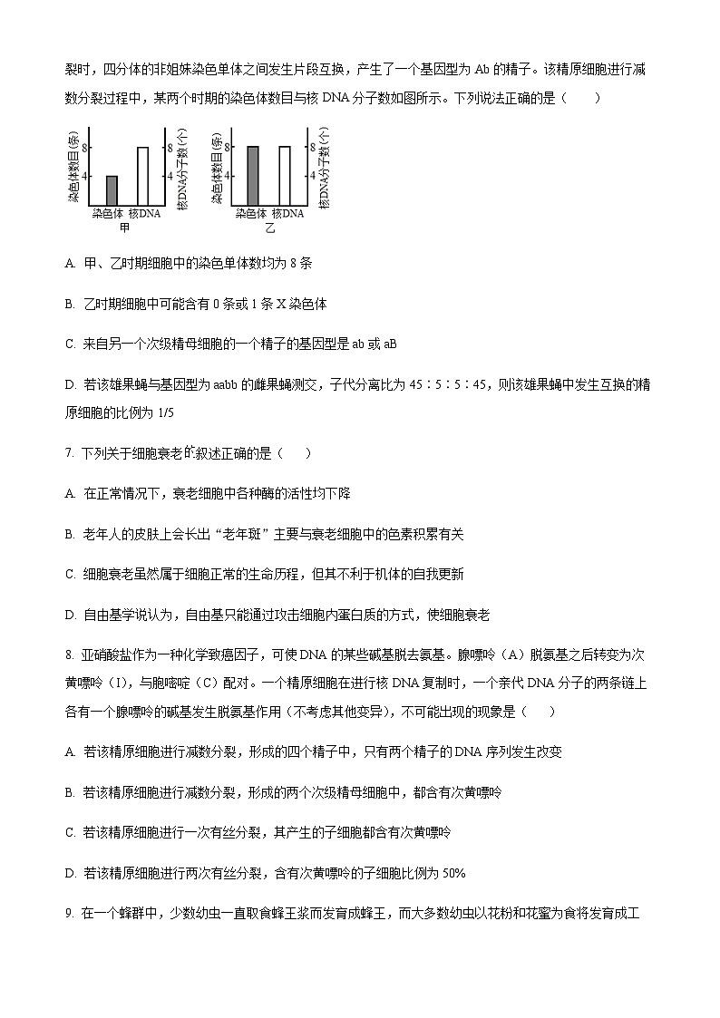 湖南省岳阳县第一中学、汨罗市第一中学2023-2024学年高三上学期11月期中联考 生物第3页