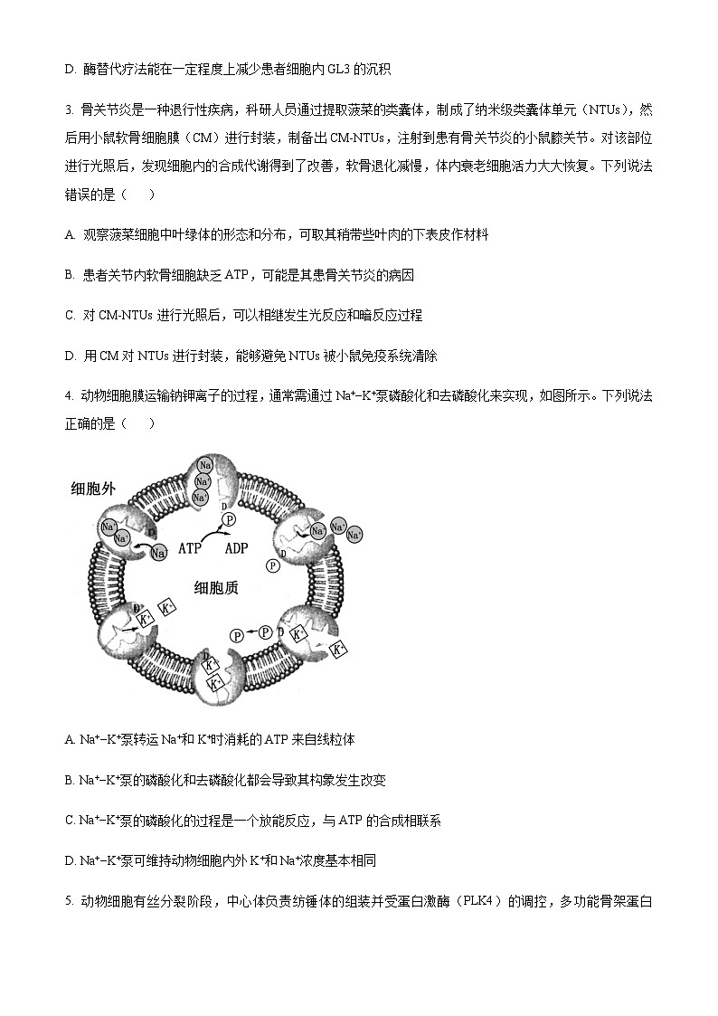 2023--2024学年山东省青岛局属、青西、胶州一中等地高三上学期期中大联考试题生物含解析02