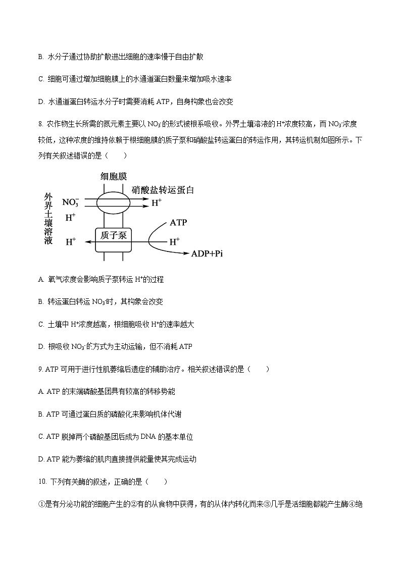 2024届黑龙江省鹤岗一中龙东五地市高三上学期期中联考生物word版含答案03