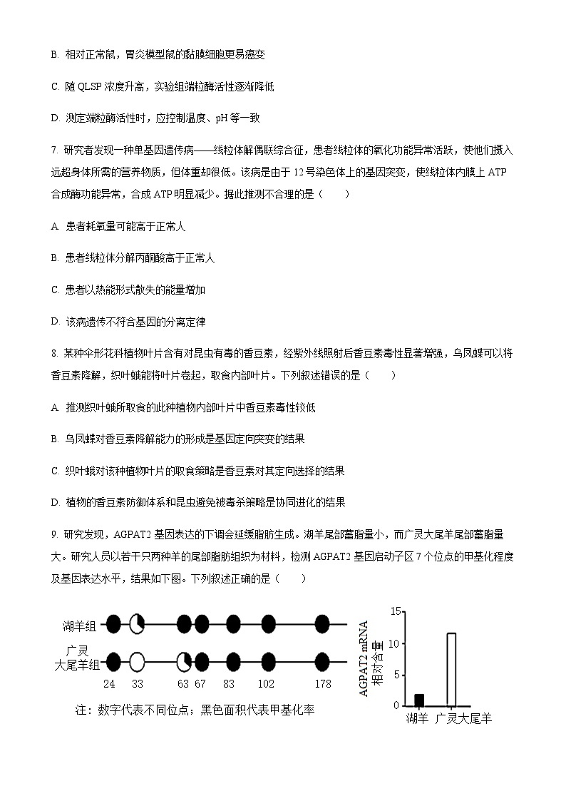 2023-2024学年北京市第八中学高三上学期期中生物试题含解析03