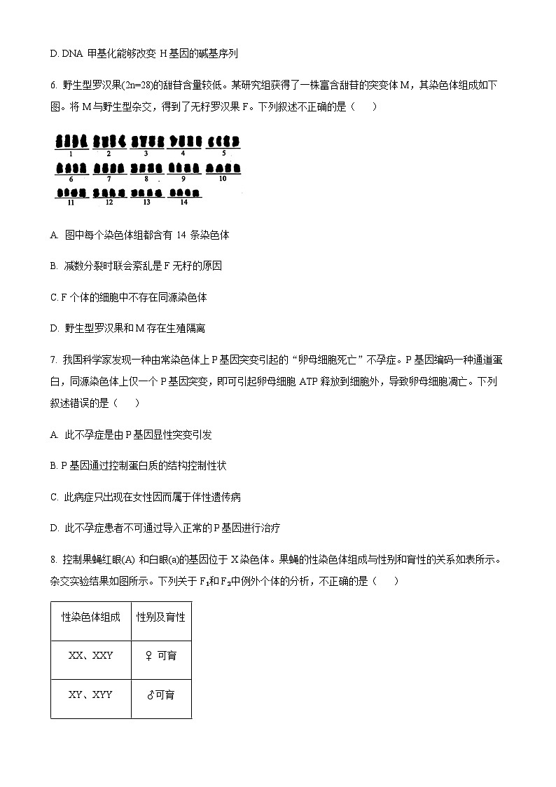 2023-2024学年北京市海淀区高三上学期期中考试生物含解析03
