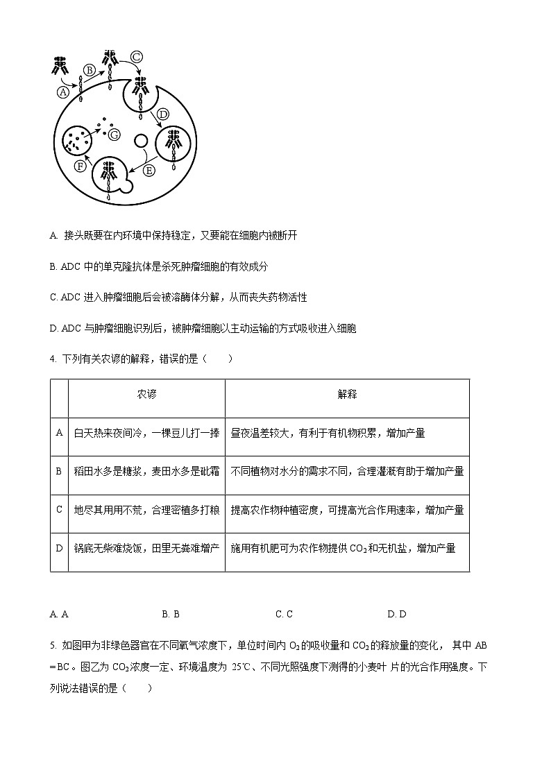 2023-2024学年福建省莆田第一中学高三上学期期中考试生物含解析02