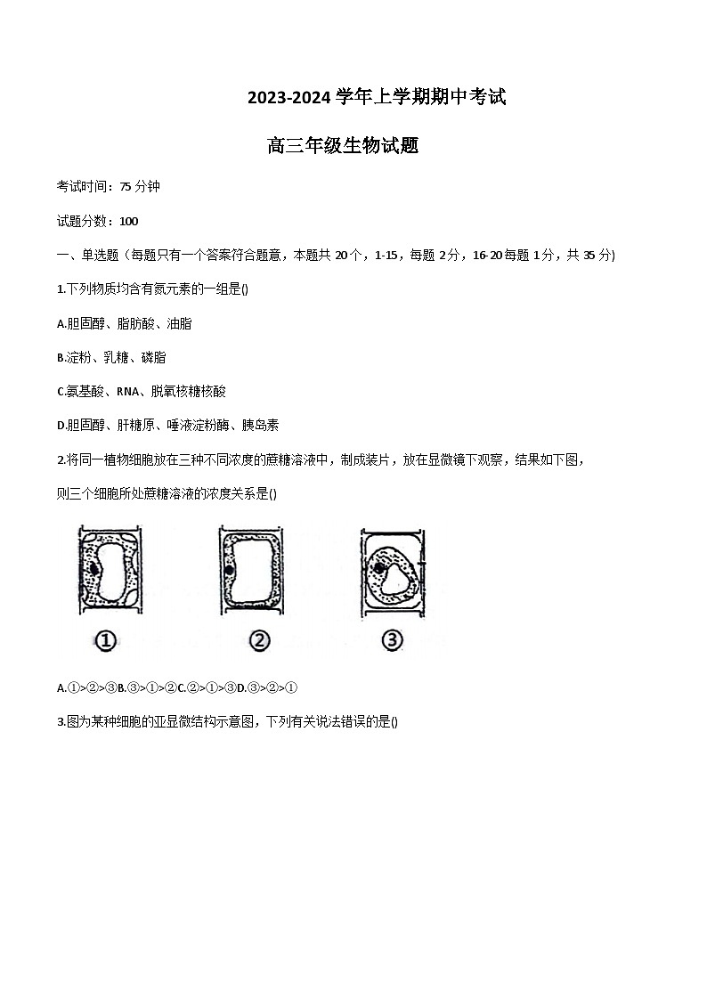 2023-2024学年河北省衡水市冀州中学高三上学期期中考试生物含答案01